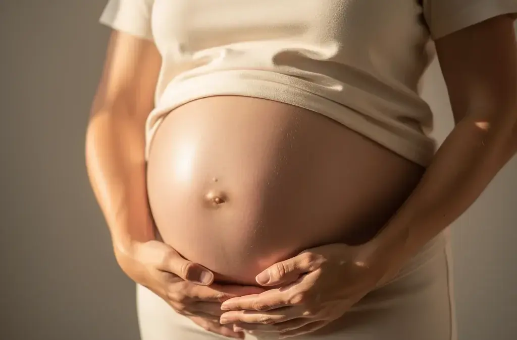 Beitragsbild zu Schwangerschaft für Kinder erklärt die Entwicklung des Lebens im Bauch
