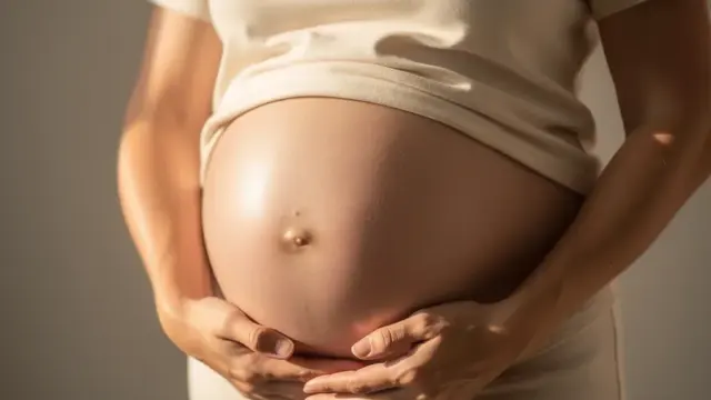 Beitragsbild zu Schwangerschaft für Kinder erklärt die Entwicklung des Lebens im Bauch